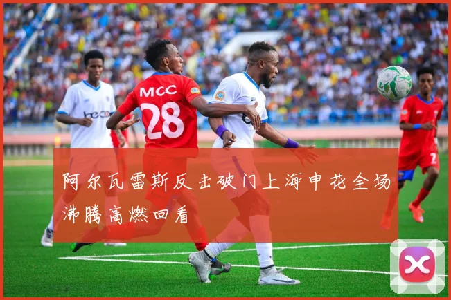 阿尔瓦雷斯反击破门上海申花全场沸腾高燃回看