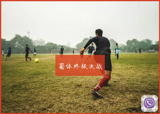 葡体终极决战