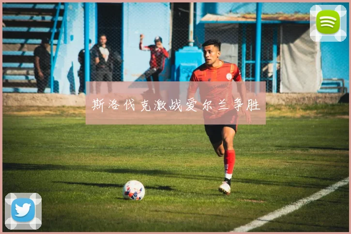 斯洛伐克激战爱尔兰争胜