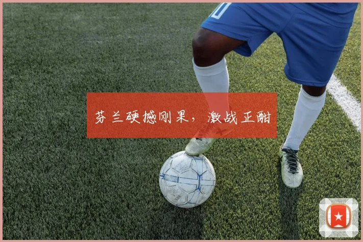 芬兰硬撼刚果,激战正酣
