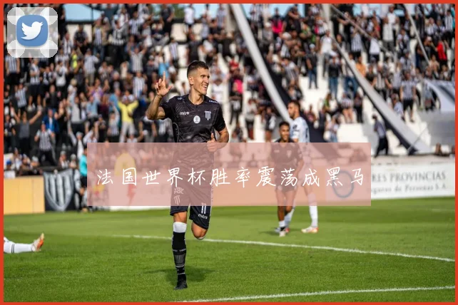 法国世界杯胜率震荡成黑马