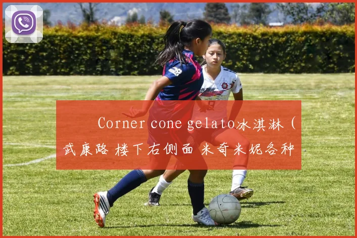 ✔️ Corner cone gelato冰淇淋（武康路 楼下右侧面 米奇米妮各种图案好看味道也很不错 ）