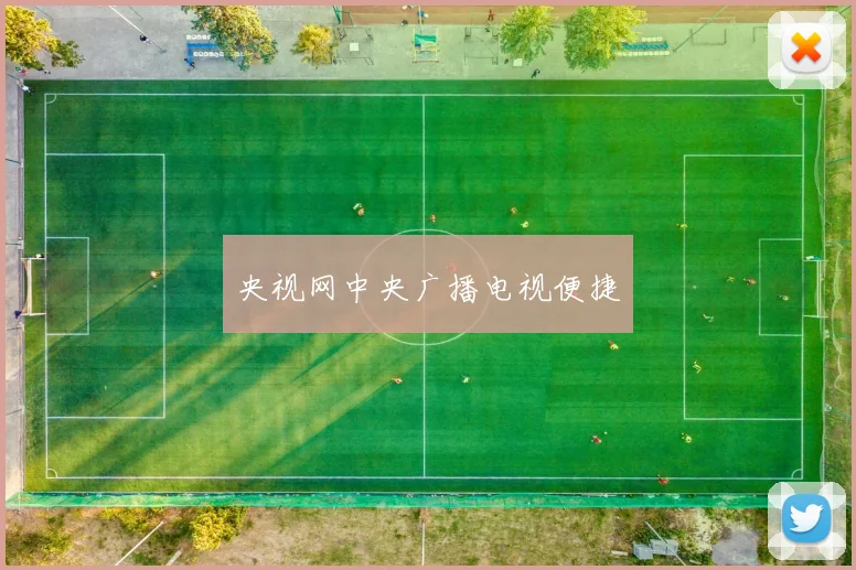央视网中央广播电视便捷