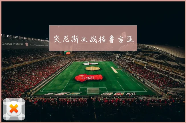 突尼斯决战格鲁吉亚