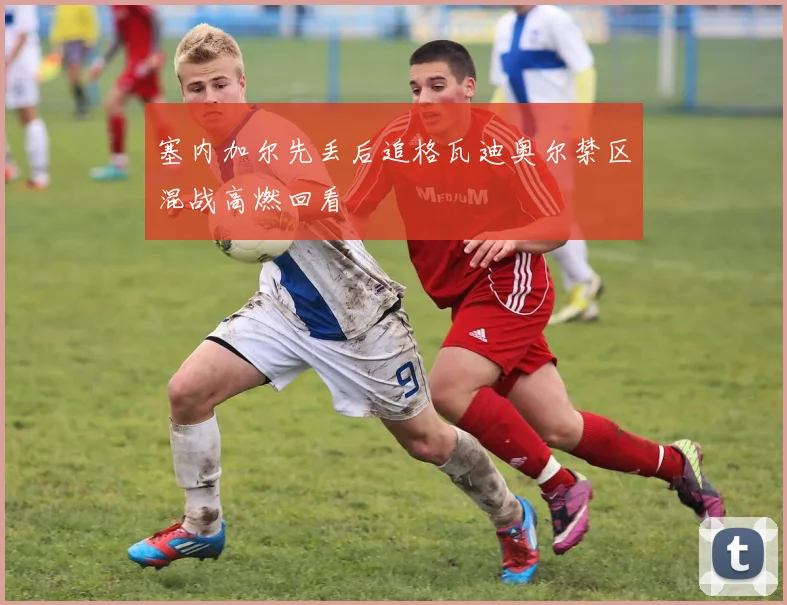塞内加尔先丢后追格瓦迪奥尔禁区混战高燃回看