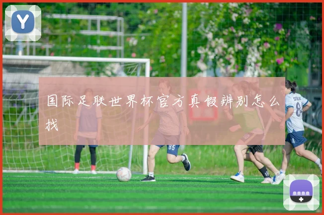 国际足联世界杯官方真假辨别怎么找