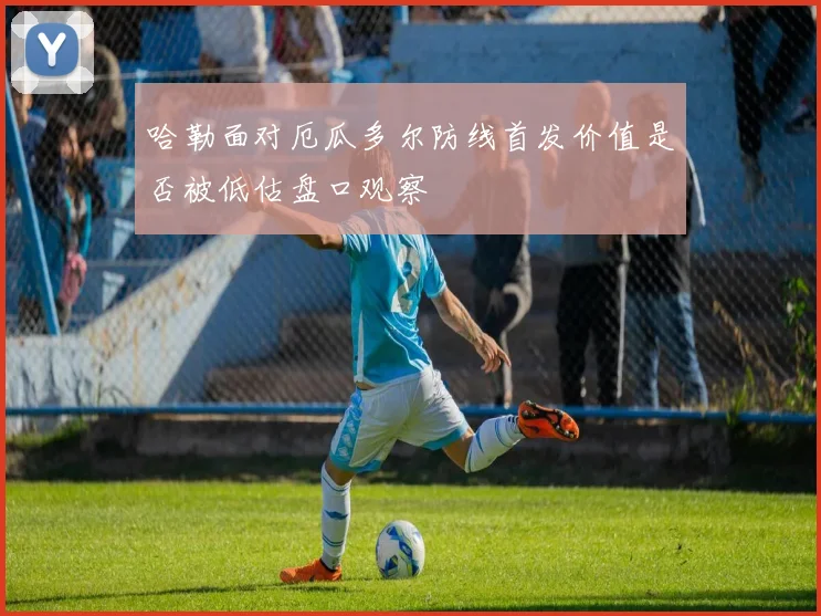 哈勒面对厄瓜多尔防线首发价值是否被低估盘口观察