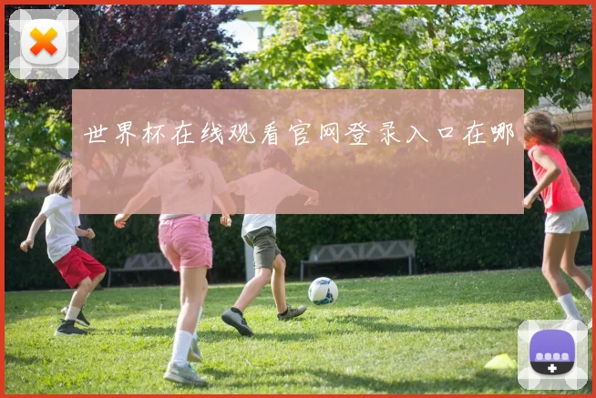 世界杯在线观看官网登录入口在哪