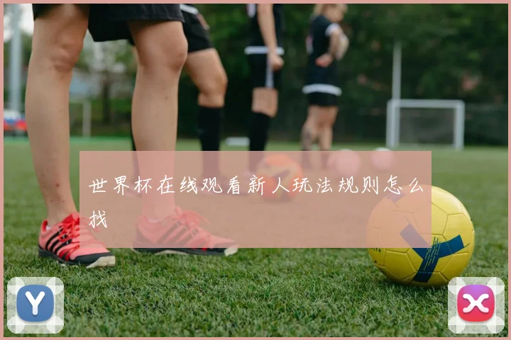 世界杯在线观看新人玩法规则怎么找